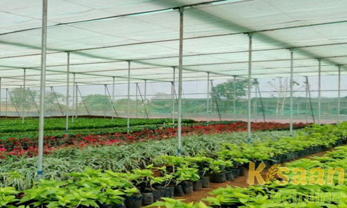 Hi-Tech Farming Center | Krishi Vigyan Kendra Kalukheda